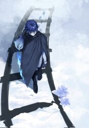 flins (genshin impact) from genshin impact