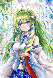 kochiya sanae from touhou