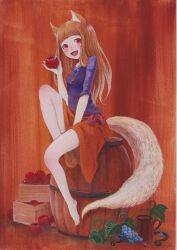 holo from spice and wolf