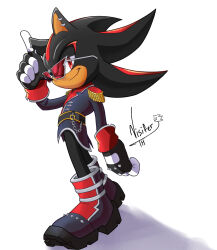 shadow the hedgehog from sonic (series)