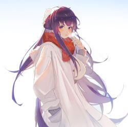 fern (sousou no frieren) from sousou no frieren