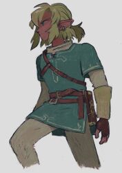 link from the legend of zelda