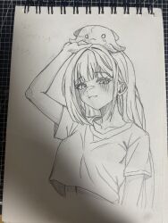 stellive fan art