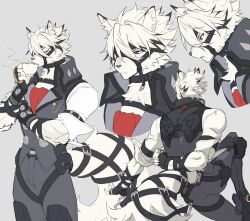von lycaon from zenless zone zero