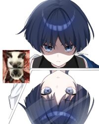 scaramouche (genshin impact) from genshin impact