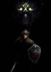 link from the legend of zelda