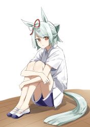 umamusume fan art