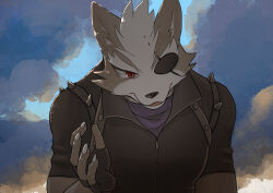 wolf o'donnell from star fox