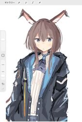 amiya (arknights) from arknights