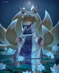 yakumo ran from touhou