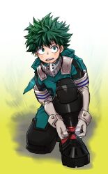 midoriya izuku from boku no hero academia