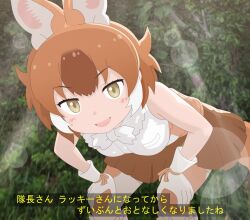 dhole (kemono friends) from kemono friends