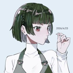 niijima makoto from persona
