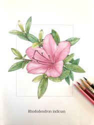 original fan art