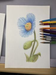 original fan art