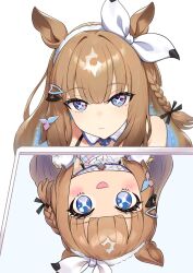 almond eye (umamusume) from umamusume