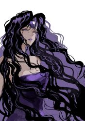 palm siberia from hunter x hunter