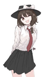 usami renko from touhou by kashiwada kiiho