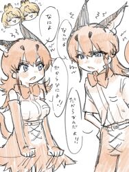 caracal (kemono friends) from kemono friends