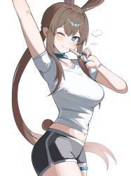 amiya (arknights) from arknights