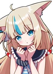 sameko saba from indie virtual youtuber
