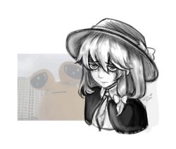 usami renko from touhou