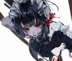 ellen joe from zenless zone zero