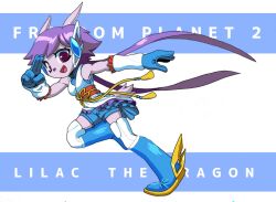sash lilac from freedom planet