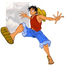 monkey d. luffy from one piece