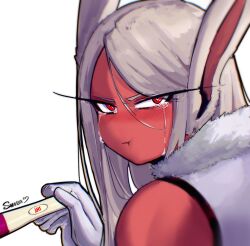 mirko from boku no hero academia