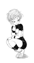 cheelai from dragon ball
