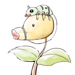 bellsprout from pokemon