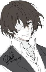 dazai osamu (bungou stray dogs) from bungou stray dogs