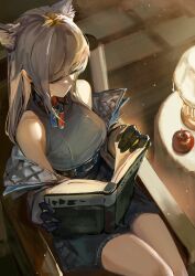 perlica (arknights) from arknights