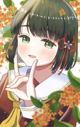 momose ginko from love live!