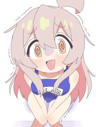 oyama mahiro from onii-chan wa oshimai!