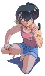 hibiki ryouga from ranma 1/2