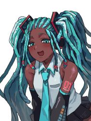 hatsune miku from vocaloid