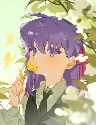 matou sakura from fate/stay night