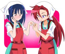 shiratori yuriko from precure