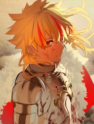 richard i (fate) from fate/strange fake