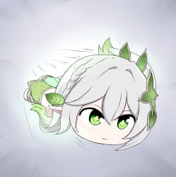 nahida (genshin impact) from genshin impact