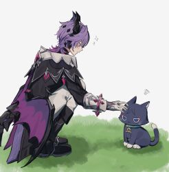 scaramouche (cat) (genshin impact) from genshin impact