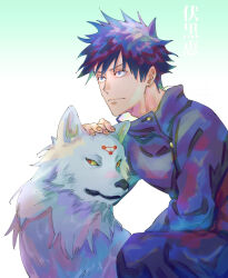fushiguro megumi from jujutsu kaisen