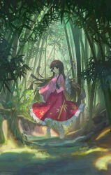 houraisan kaguya from touhou