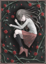 ib (ib) from ib (kouri)