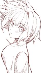 arcueid brunestud from tsukihime