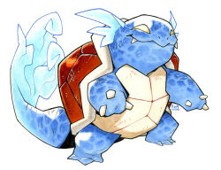 wartortle from pokemon