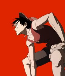 monkey d. luffy from one piece