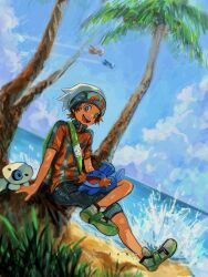 aron from pokemon